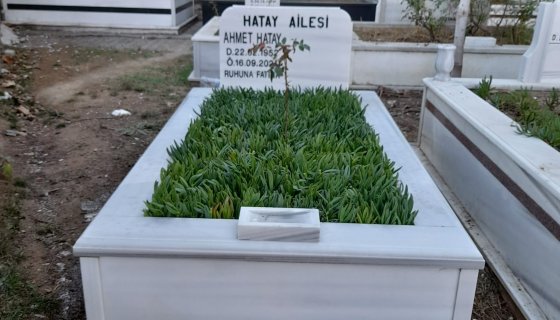 Tek kişilik mezar Bakım ve düzenleme hizmetlerimiz