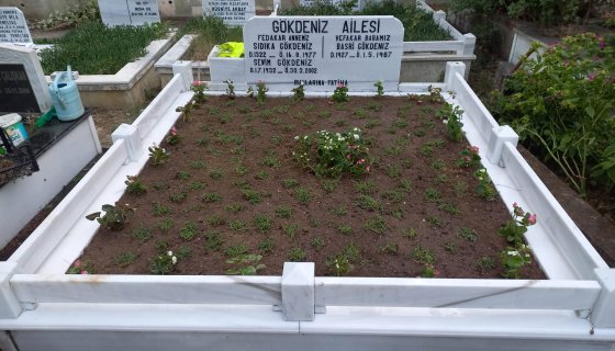 Üsküdar karacaahmet mezarlığı bakım hizmetlerimiz 