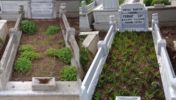 Ümraniye kocatepe mezarlığı bakım hizmetlerimiz 